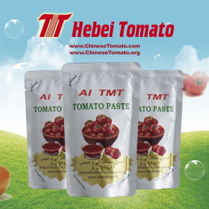 70g Al Mudhish Tomato Paste Pouches 22-24%